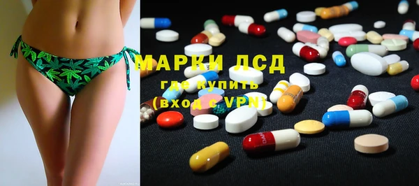 spice Гвардейск