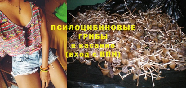 меф Переславль-Залесский