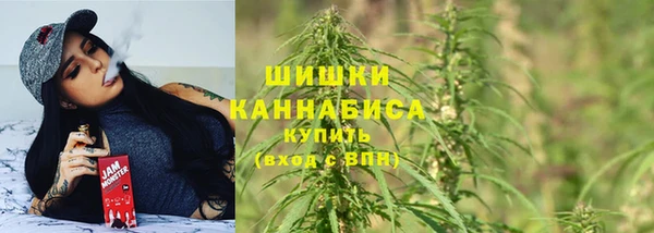 меф Переславль-Залесский