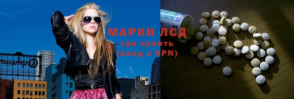 мяу мяу мука Гатчина