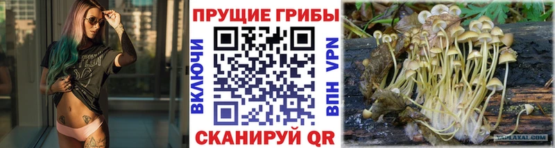 цены наркотик  Верхняя Салда  Псилоцибиновые грибы GOLDEN TEACHER 