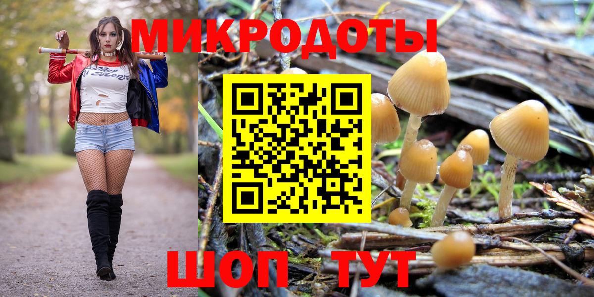 Псилоцибиновые грибы GOLDEN TEACHER Верхняя Салда