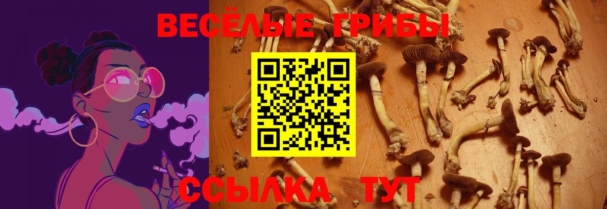 Галлюциногенные грибы MAGIC MUSHROOMS  Верхняя Салда 