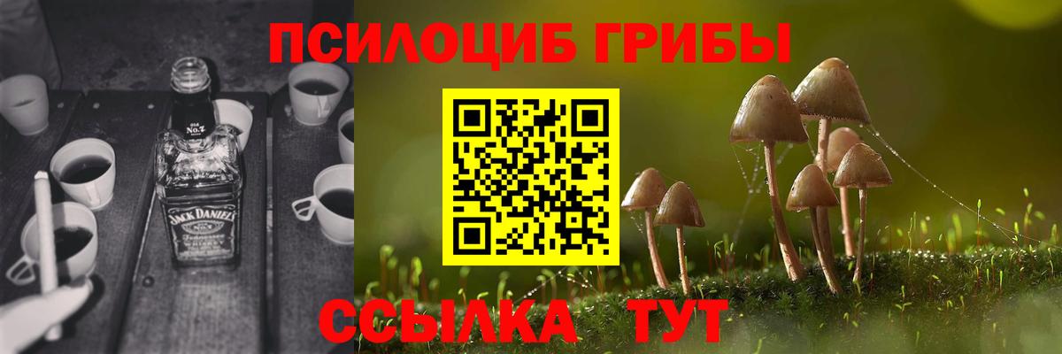 Псилоцибиновые грибы GOLDEN TEACHER Верхняя Салда